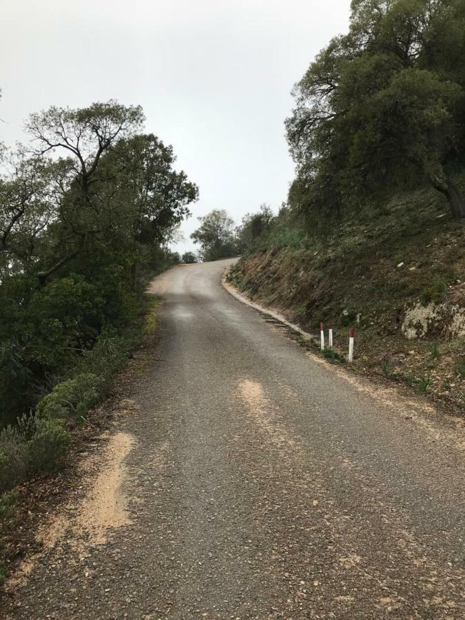 Вилла Sardegna Vicino Ad Olbia "La Casa Nel Vicolo" Беркидда Экстерьер фото