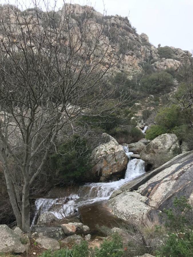 Вилла Sardegna Vicino Ad Olbia "La Casa Nel Vicolo" Беркидда Экстерьер фото