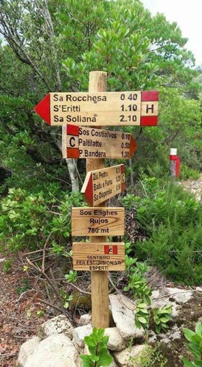 Вилла Sardegna Vicino Ad Olbia "La Casa Nel Vicolo" Беркидда Экстерьер фото