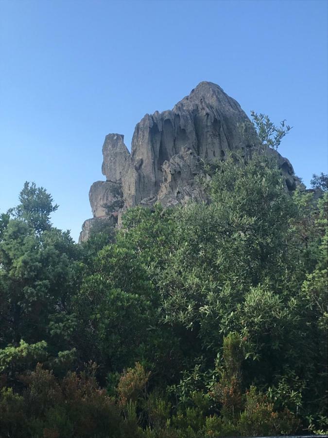 Вилла Sardegna Vicino Ad Olbia "La Casa Nel Vicolo" Беркидда Экстерьер фото